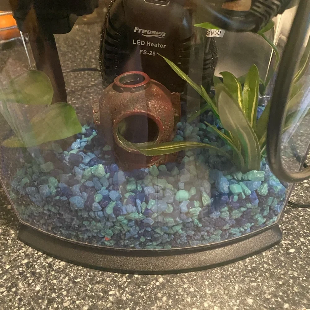 Betta fish tank and accessories 🐟